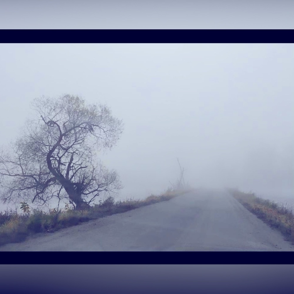 ….road less traveled…